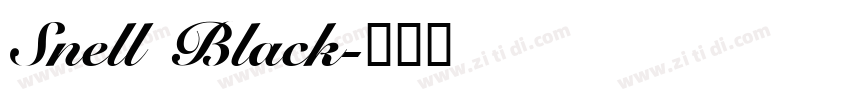 Snell Black字体转换